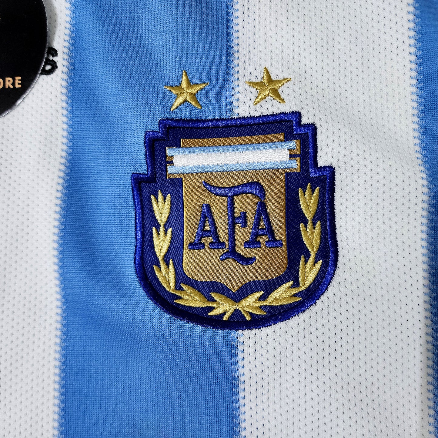Messi 2010 Argentina Home Jersey